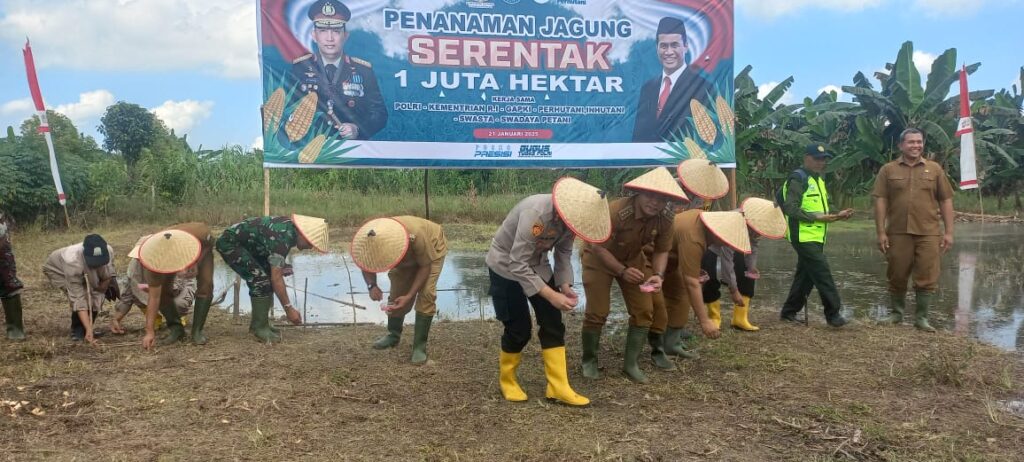 Foto: Penanaman Jagung, di Aceh Timur Dukung Swasembada Pangan