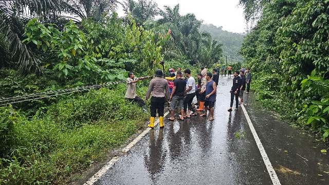 Kapolsek Ranto Peureulak Bersama Warga Evakuasi Pohon Tumbang Yang Menimpa Kabel Listrik di Seumanah Jaya