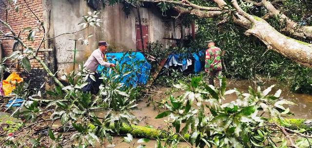 Sigap Anggota Polsek Darul Aman Bantu Warga Yang Rumahnya Tertimpa Pohon