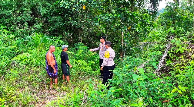 Harimau Dekati Permukiman, Polsek Simpang Jernih Berkoordinasi dengan BKSDA dan Imbau Warga Tingkatkan Kewaspadaan
