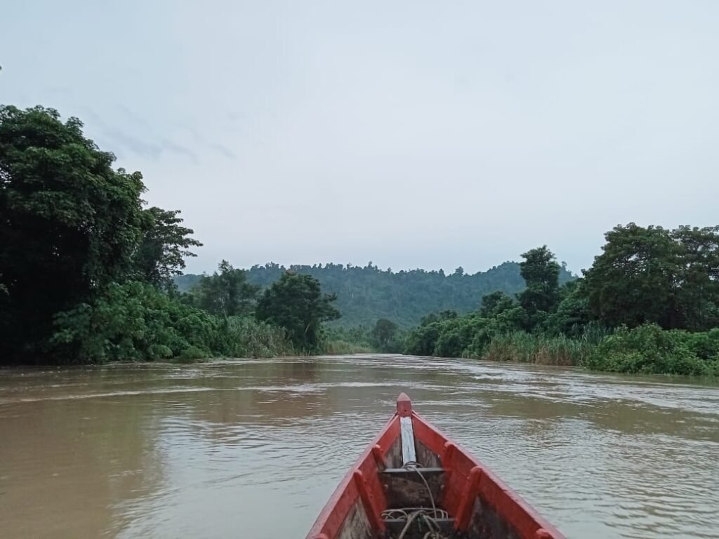 BREAKING NEWS Warga Aceh Timur Diduga Diterkam Buaya Saat Menyeberangi Sungai Peureulak, Korban Masih Dicari